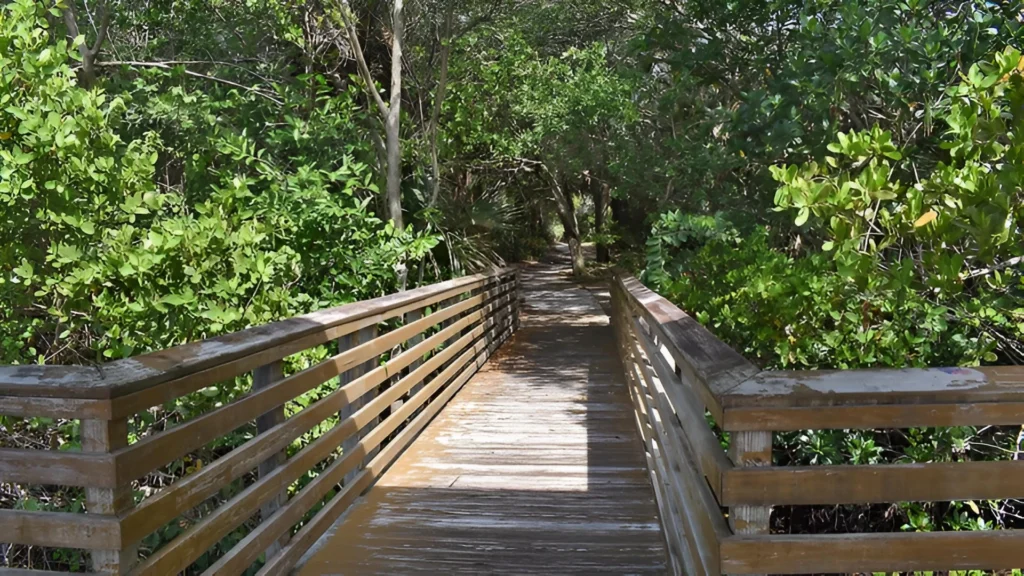 Boardwalk trail through a nature preserve in Palm Beach Gardens Florida